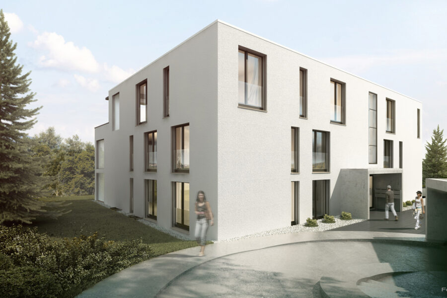 Mehrfamilienhaus Eckenstein, Visualisierung