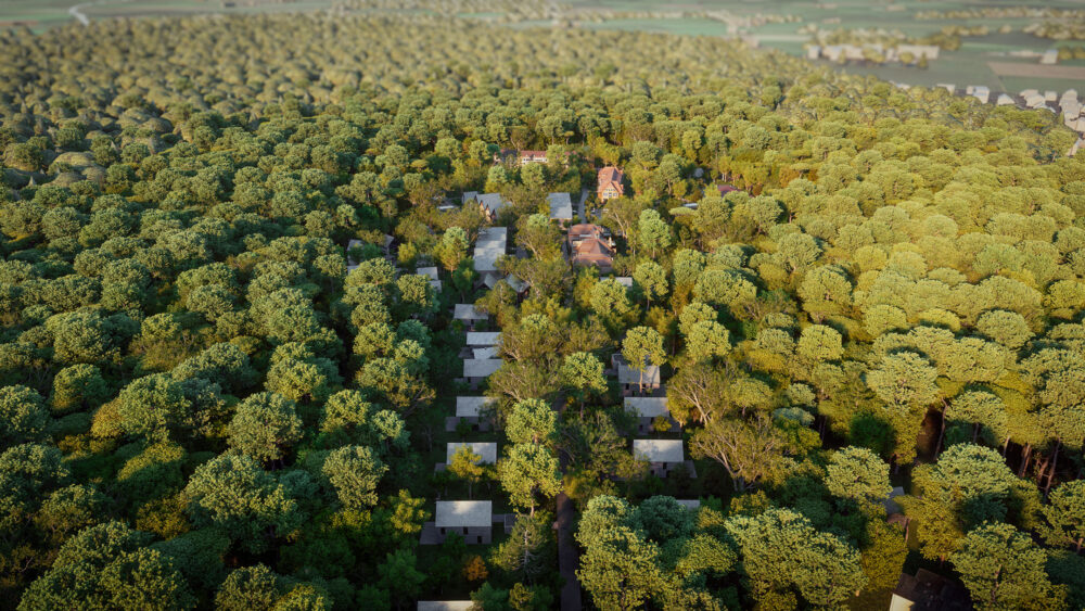 3D Visualisierung Flachsbäker Heide, Wildeshausen